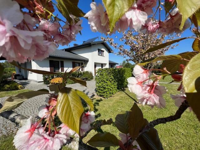 Na Skraju Puszczy Villa Hajnówka Eksteriør bilde