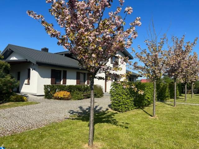 Na Skraju Puszczy Villa Hajnówka Eksteriør bilde